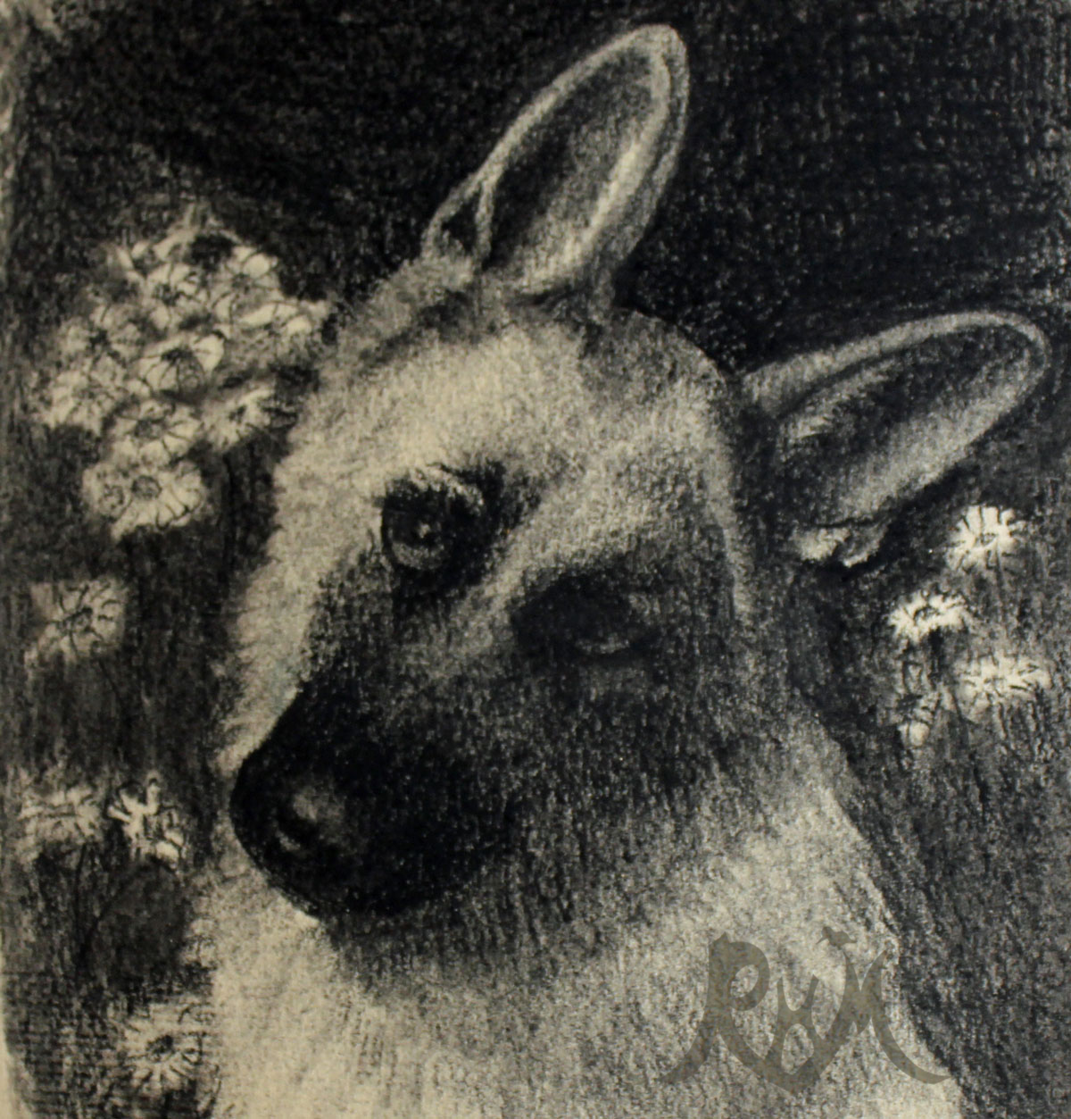 Sketch of a German Shepherd